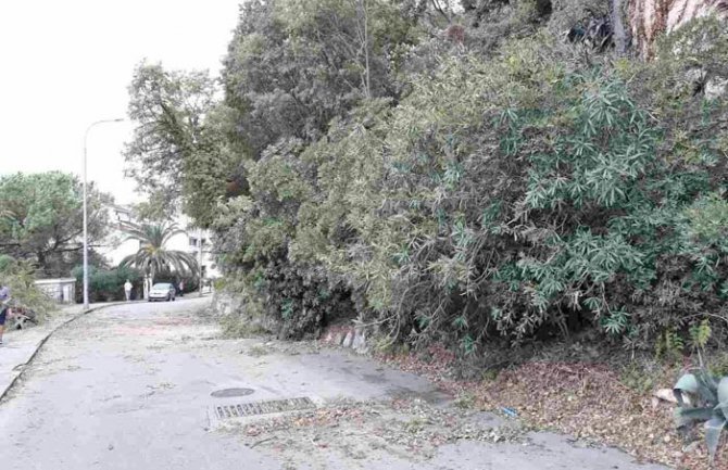 Herceg Novi: Polomljeno drveće, plažni mobilijar, zatrpani kanali