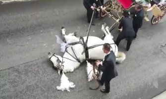 Svadba za pamćenje: Konj se onesvijestio dok je vukao kočiju (VIDEO)