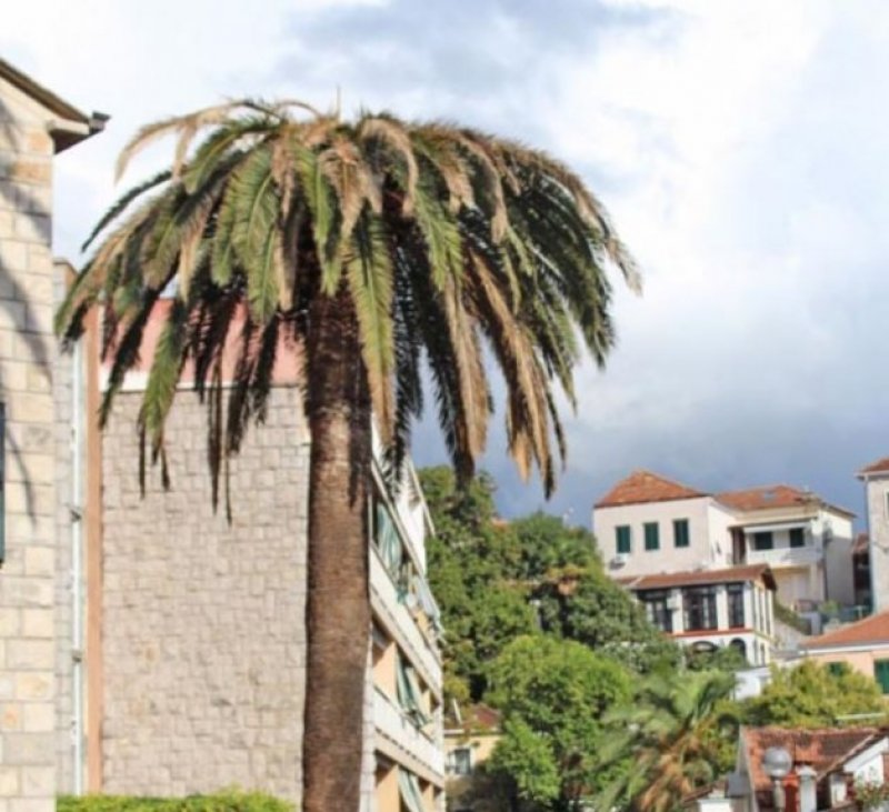 52fbb2c52d184a39721b212a795cb5a9