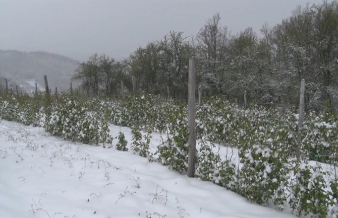 Prvi snijeg se uveliko bijeli sa vrhova planina u regionu