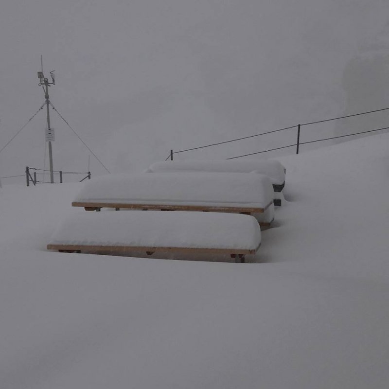 2168599520848763650687875142694170049397993n