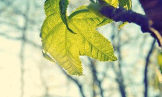 Promjenljivo oblačno, kiša moguća na sjeveru