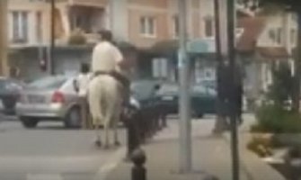 Prošao kroz crveno: Važe li za konja saobraćajni propisi? (Video)