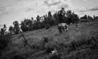 Madagaskar: Kuga za mjesec odnijela najmanje 19 života