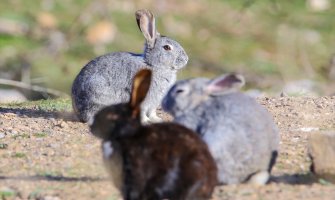 Evo kakvo nas vrijeme očekuje za vikend