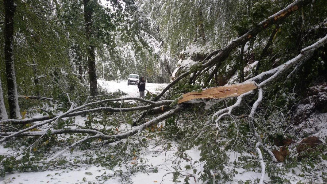 opalostabloiliscenaprilazniputdoNPBiogradskagora