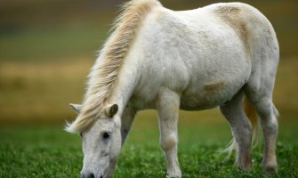 I danas sunčano, do 25 stepeni