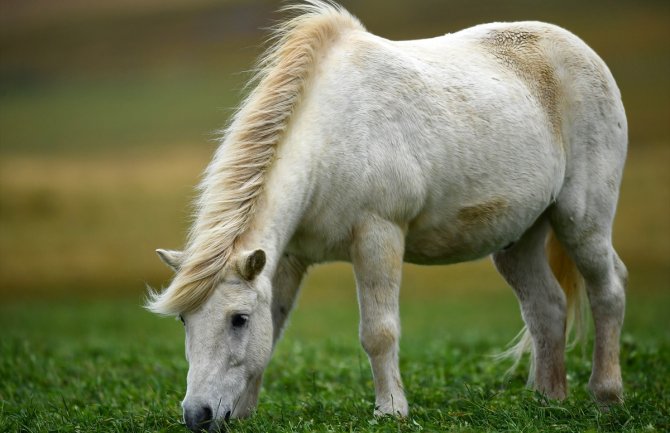 I danas sunčano, do 25 stepeni