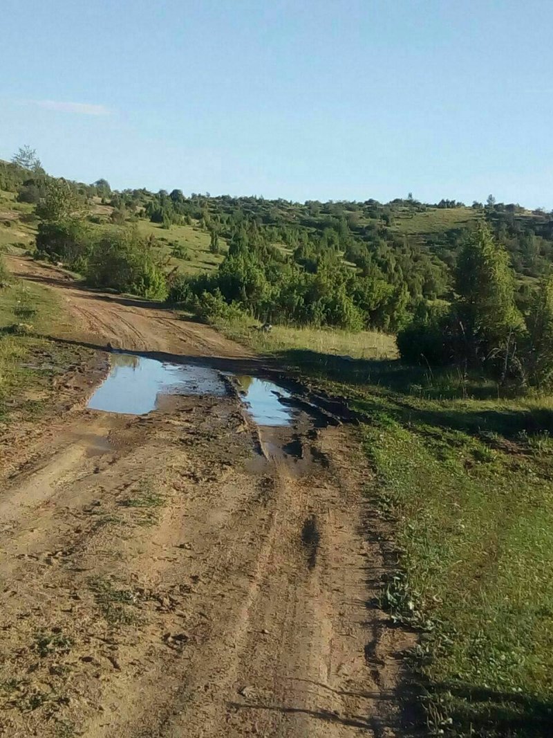 22425832102148868012714951651770887o