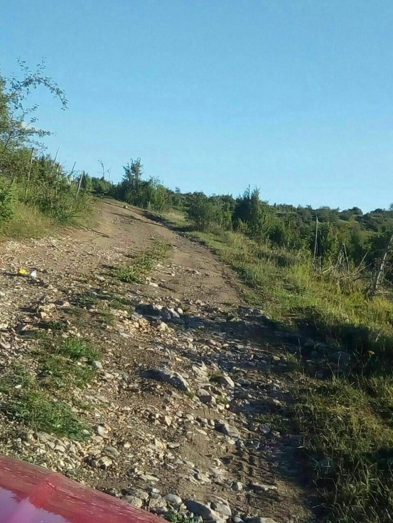 22425775102148869171543921507093237o