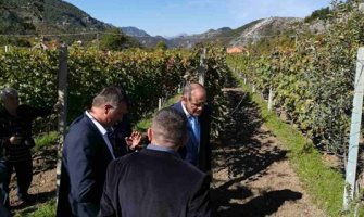 Simović: Poljoprivrednici prepoznaju da je njihovo najmoćnije oružje kvalitet