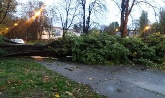 Nevrijeme u Srbiji: Vjetar nosio sve pred sobom, čupao drveće (FOTO/VIDEO)