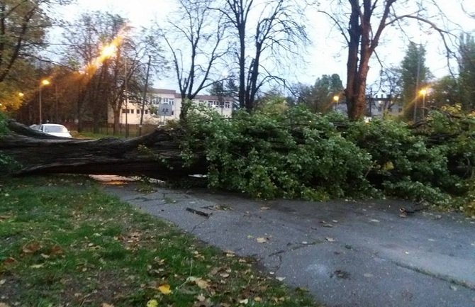 Nevrijeme u Srbiji: Vjetar nosio sve pred sobom, čupao drveće (FOTO/VIDEO)