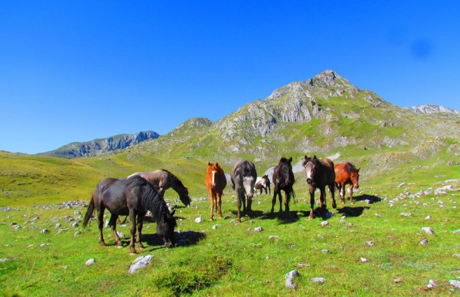 Evo kakvo nas vrijeme očekuje za vikend