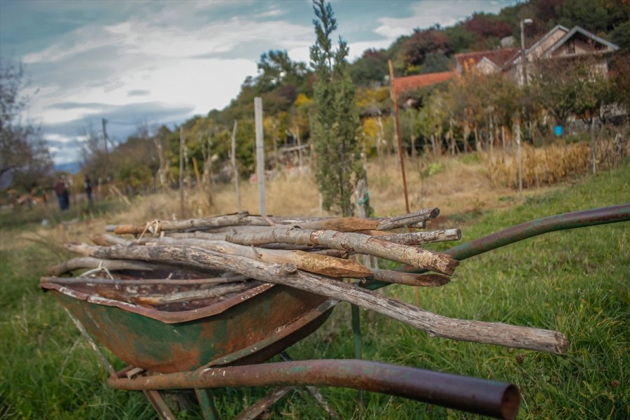 2017111222682795027745972Web