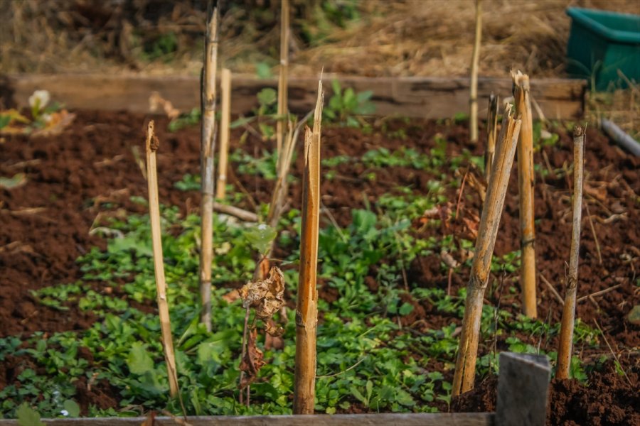 2017111222682795027745974Web