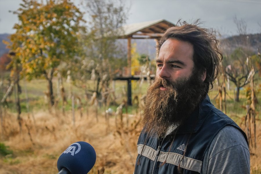 2017111222682795027745968Web