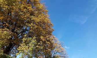 Danas pretežno sunčano, do 16 stepeni