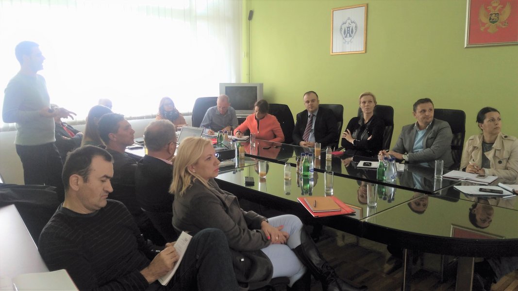 PrezentacijatretmanmuljaizPPOV