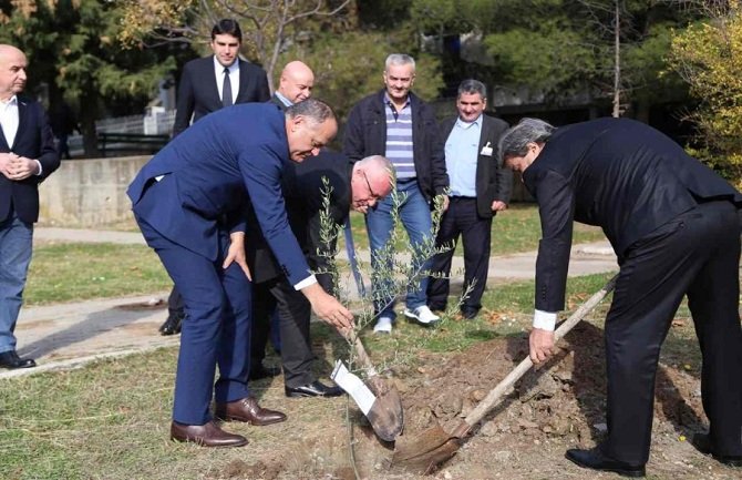 Simović u Starom Baru otvorio 16. Maslinijadu