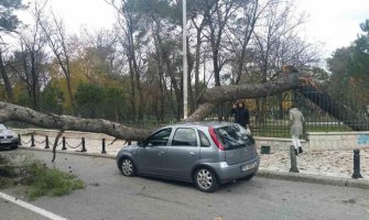 Podgorica: Stablo palo na automobil, saobraćaj u prekidu 