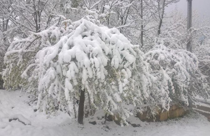 Upozorenje Ministarstva poljoprivrede proizvođačima povodom najavljenog nevremena