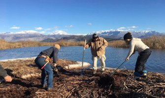 Poboljšani uslovi za gniježđenje pelikana u NP Skadarsko jezero