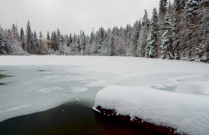 Slab snijeg i mećava na sjeveru, na Žabljaku jutros minus 7 stepeni