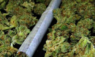 Plav: Kod bezbjednosno interesantne osobe pronađena marihuana