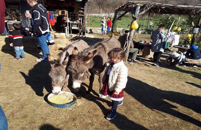 Novogodišnji bal sa magarcima u Martinićima