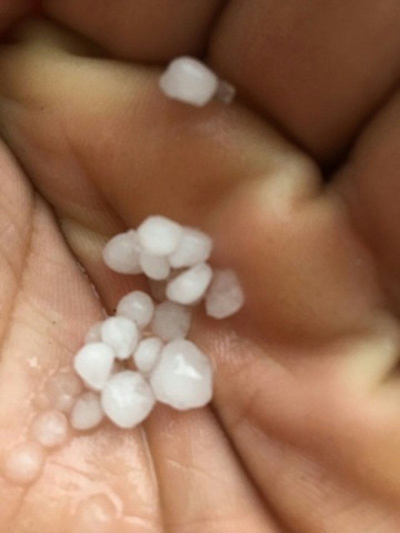 26174895102155631732603721531805534n