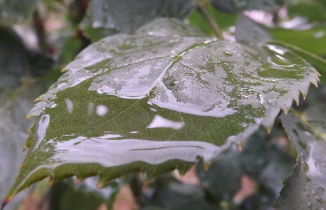 Oblačno od sredine dana kiša