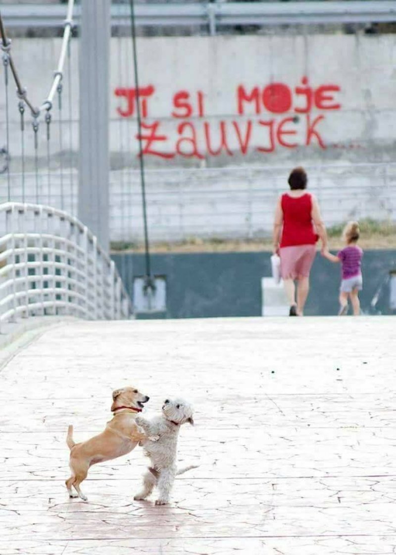 267310629528117815334961760929420255924298n1