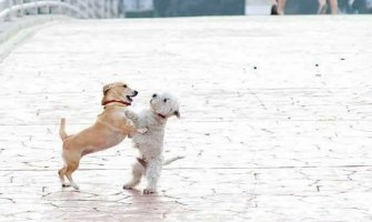 Ljubavni zagrljaj na mostu: Oto i Rita su najpopularniji par u CG