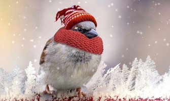 Sunčano, do 14 stepeni