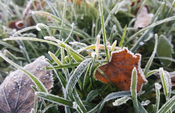 Pretežno sunčano, do 14 stepeni