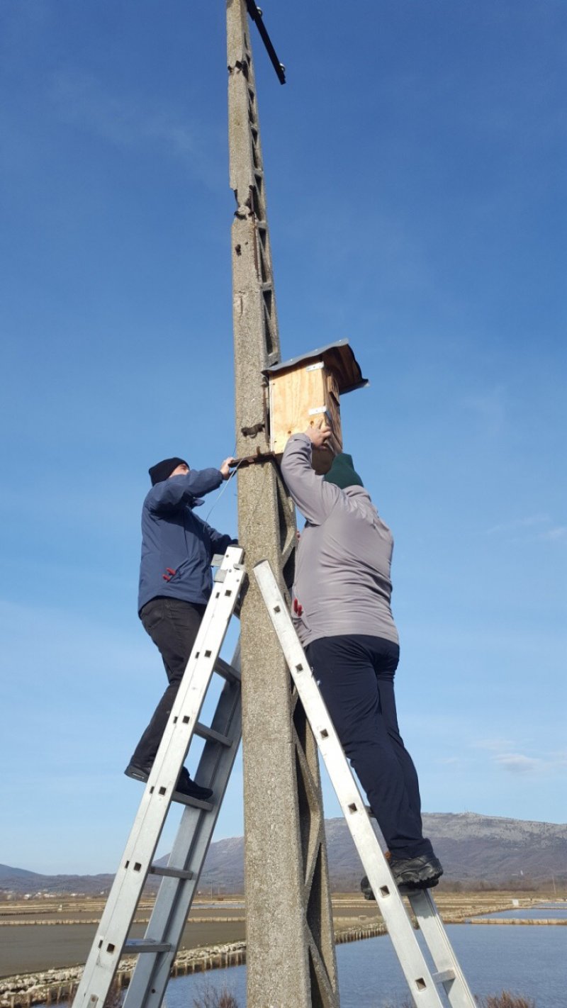 postavljanjekucicazazlatovranu