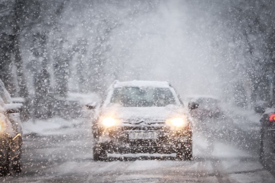 2018020222847667830389402Web