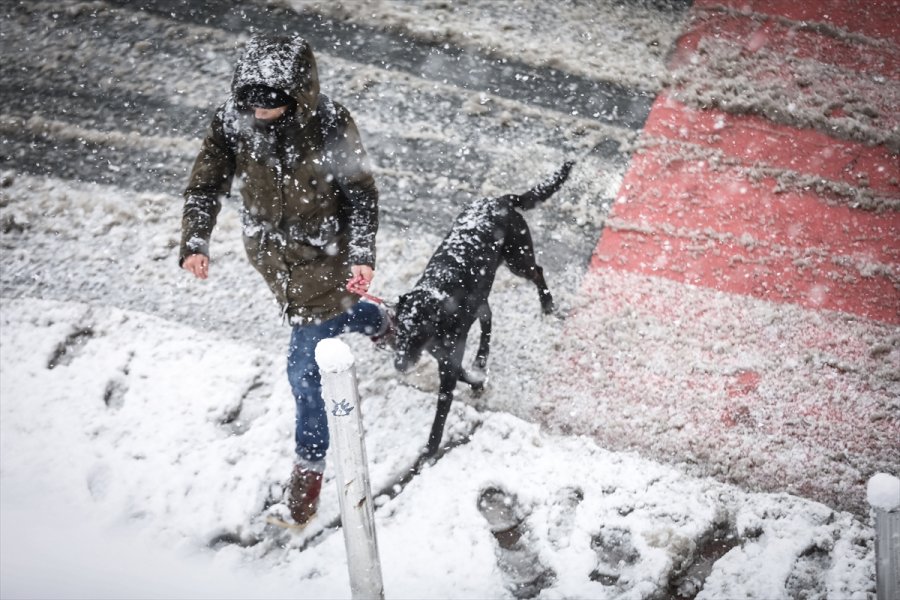 2018020222847667830389409Web