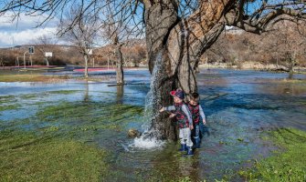 Rijedak prirodni fenomen u Crnoj Gori: Stablo murve iz kojeg izvire voda(FOTO)