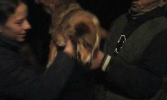 Agović da plati 300 eura zbog mučenja psa