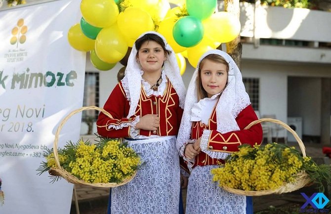 Otvorena 43. Izložba cvijeća: Senzibilitet, sloboda i otmenost mimoze 