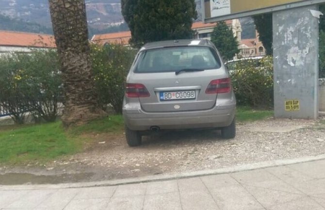 DPS Budva: Vozilo direktora budvanskog Vodovoda danas bilo parkirano na travnjaku pored palme