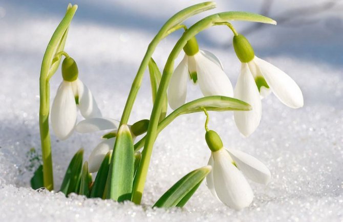 Evo kakvo nas vrijeme očekuje za vikend 