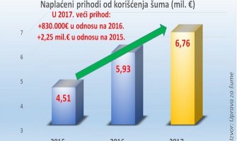 Ministarstvo poljoprivrede: Uočen napredak u gazdovanju šumama