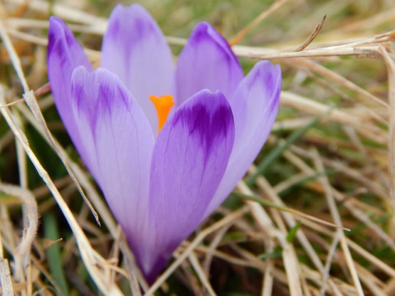 2805923917135169487185068286890762538608138n