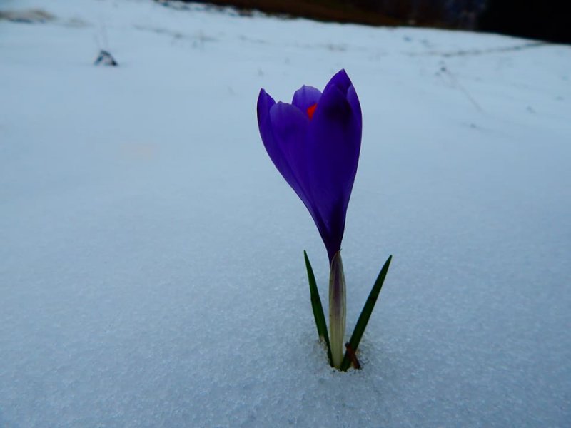 281677831713517502051784489155304412941860n