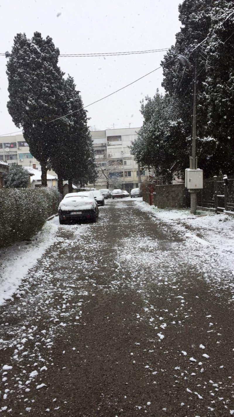 28547595102089149627498111026240094o