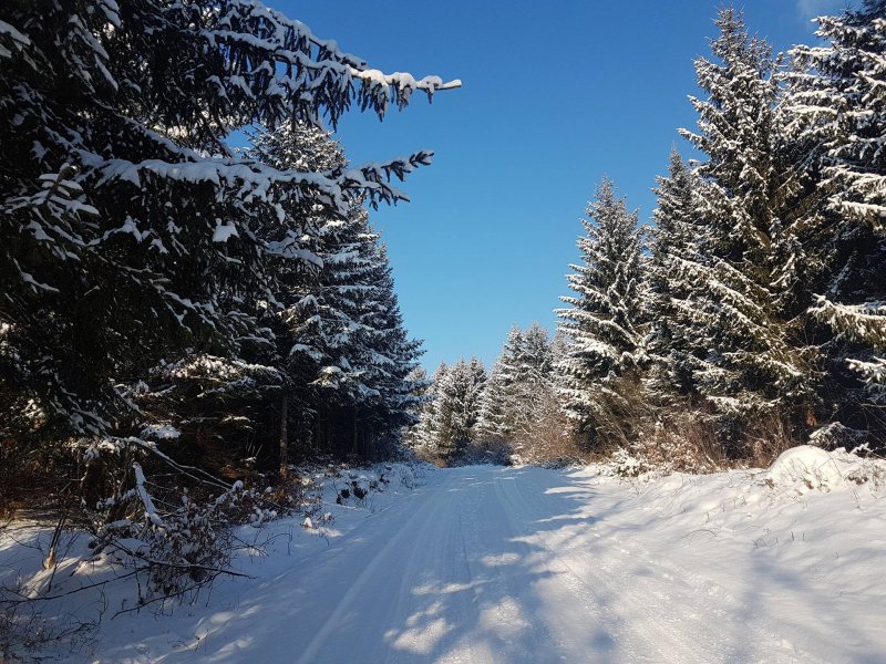 28547791425788151212651564365758o