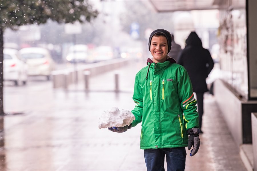 2018022722894421331163523Web